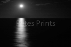 2014 Queen Elizabeth cruise 417