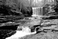 DSC_0349 (2)