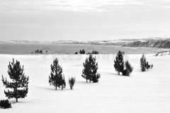 dec 2010 hol 144