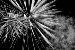 chester racecoarse fireworks 2014 021