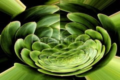 photo's 361 - Copy
