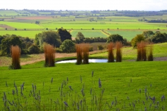 cropton yorkshire 083