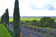 cropton yorkshire 085
