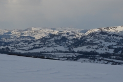 march 2013 070