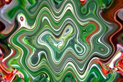 DSC_0376 (2)