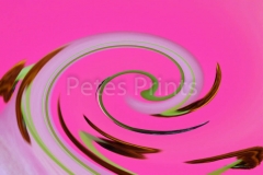 new macro lens march 2015 052