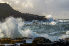 DSC_0574 (1)